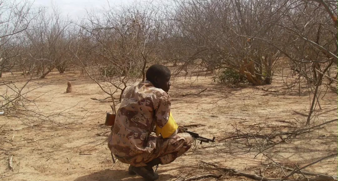 Mali : près de 40 forêts classées « zones d'intérêt militaire » interdites aux civils