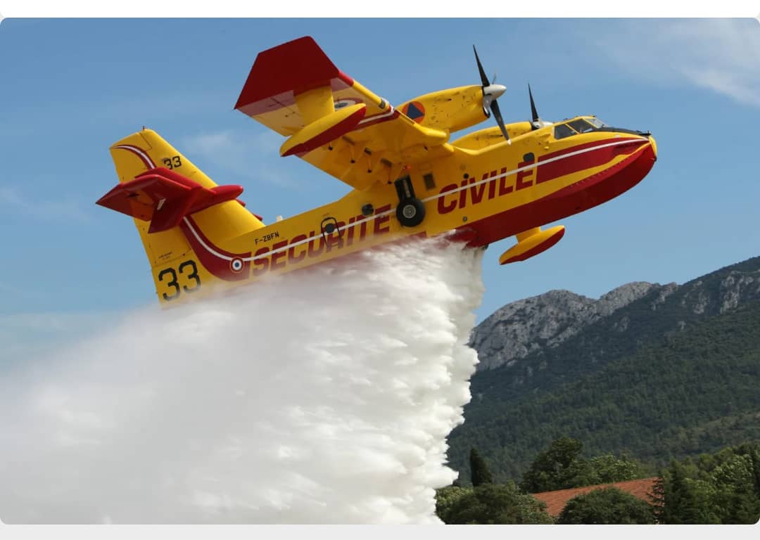 France/Incendie de la forêt Fontainebleau : 1 300 hectares parcourus par le feu, deux personnes interpellés